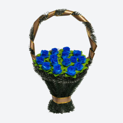 /Group_81